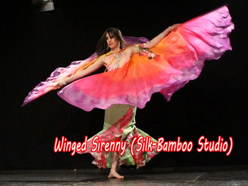 1 pair Glamor 6 Mommes habotai belly dance silk wing