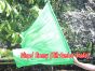 Seda Poi bandera de adoración 103 cm * 88 cm, verde