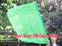 Seda Poi bandera de adoración 103 cm * 88 cm, verde