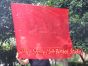 1 Stück 103 cm x 88 cm drehbarer Flaggen-Poi, rot