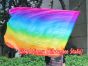 1 Stück 129 cm x 88 cm drehbarer Flaggen-Poi, Regenbogen+ B