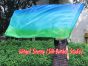 Seda Poi bandera de adoración 174cm x 88cm, Aventuras B