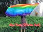 Seda Poi bandera de adoración 174cm x 88cm, Arco iris B