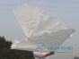 1 pair 180 cm (71") half circle prophetic angel wing silk flags, white 