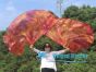 1 pair 180 cm (71") half circle prophetic angel wing silk flags, Copper 