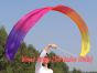 Seide streamer Glanz 2.5m*0.3m