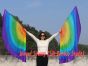 1 par de alas de ángel de seda de 180 cm (71"), Arco iris