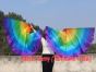 1 par de alas de ángel de seda de 180 cm (71"), Arco iris