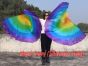 1 par de alas de ángel de seda de 180 cm (71"), Arco iris