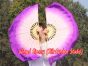 1 Pair light purple-purple short Chinese silk dance fan, 10cm (4") flutter