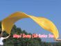 Seidenbanner für Anbetung, gold
