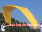 Seidenbanner für Anbetung, gold