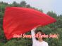 103 cm Tanzflagge Anbetungsfahne mit flexiblem Stab, rot