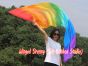 222cm Bandera con Varilla Flexible Profetica Cristiana para Danze, Arco iris
