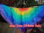 Alas de seda 6 Mommes Arco iris
