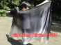 1 piece black shading 5 Mommes belly dance silk veil 