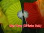 1 pair 1.1m (43") Fire silk fan veils for kids