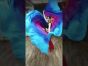 Tropical Vibes Wings dance by Sahra Hayal #bellydance #dance