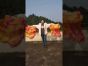 1 pair 1.1m (43") Sakura silk fan veils for kids