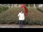 1.8m silk veil poi, Lava