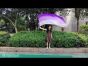 Seda Poi bandera de adoración 174cm x 88cm, violeta degradado B