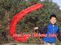 Seide streamer rot 180 cm
