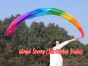 1 piece 250 cm (98") Rainbow worship silk throw streamer