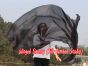 1 piece black 5 Mommes belly dance silk veil 