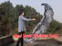 Velo poi de seda para danza del vientre negro+blanco 1.8m*0.9m