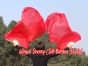 1 pair 1.5m (59") red belly dance silk fan veil