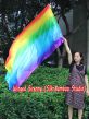 Seda Poi bandera de adoración 174cm x 88cm, Arco iris B