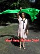 1 Piece green 2.3m (90") dance silk veil poi