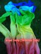 Cometa de mano para niños danza y juegan rojo-amarillo-verde-cian-azul