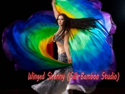 1 PIECE Rainbow half circle 6 Mommes belly dance silk veil