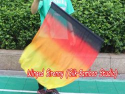 1pc 81cm (32") spinning silk flag poi for Worship & Praise, Illumination