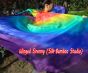 Alas de seda 6 Mommes Arco iris