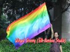 Spinning silk flag poi 174cm (68") for Worship & Praise, long side Rainbow