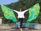 1 pair 180 cm (71") half circle prophetic angel wing silk flags, Breeze 