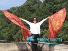 1 pair 180 cm (71") half circle prophetic angel wing silk flags, Copper 