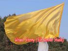 Spinning silk flag poi 174cm (68") for Worship & Praise, gold