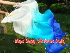 1 pair 1.5m (59") Royalty belly dance silk fan veil