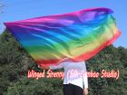 1 Piece 180 cm (70") prophetic silk worship flex flag, longside Rainbow B