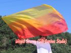 1 Piece 180 cm (70") prophetic silk worship flex flag, Fire long side