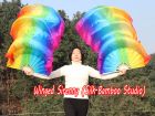 1 pair Rainbow+ long stripes 3G belly dance silk fan veil