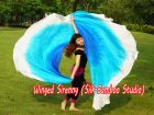 1 PIECE blue-turquoise-white half circle 6 Mommes belly dance silk veil