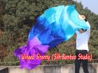 1 pair 2.4m (94") Mystery belly dance silk fan veils